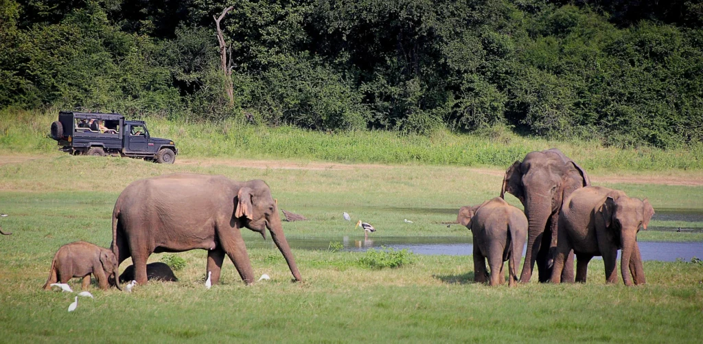 best time to travel to sri lanka
