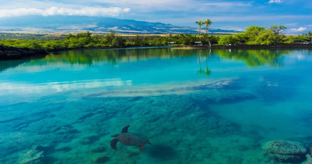 Best Time to Visit Maui