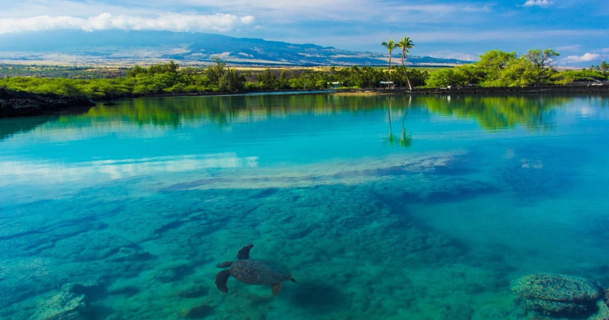 Best Time to Visit Maui