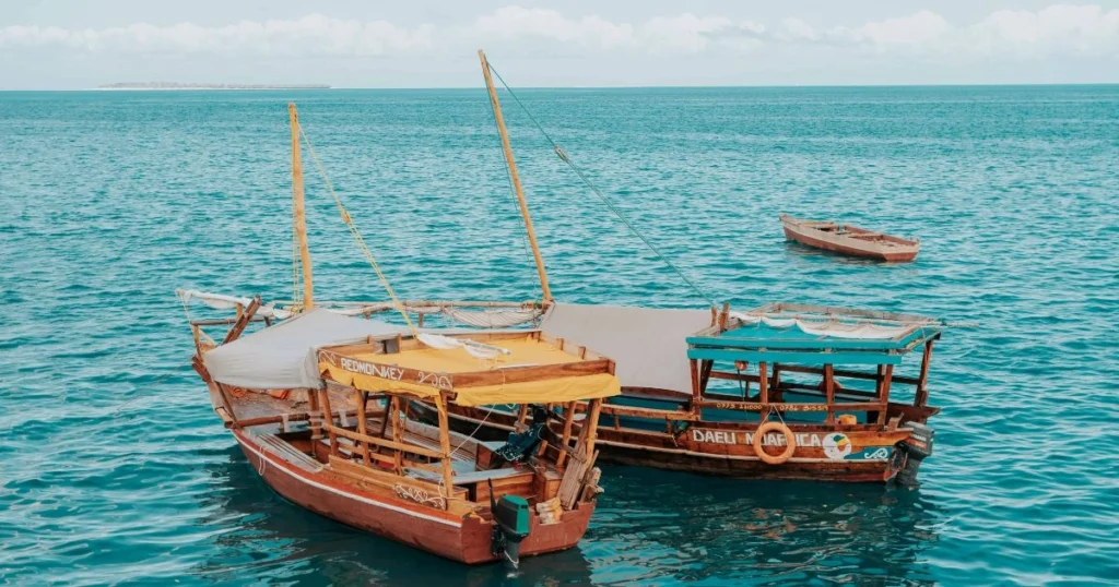 Sea Turtles in Zanzibar